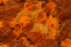 Iskender Kebab